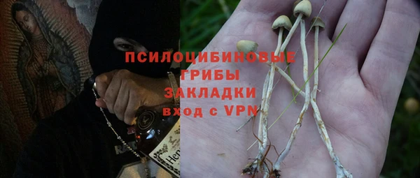 прущая мука Тайга