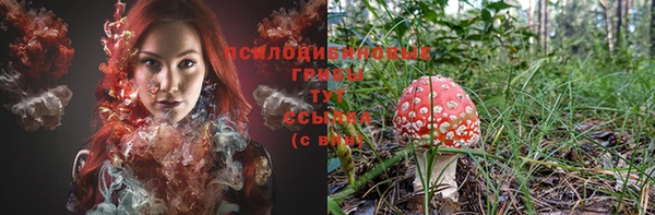 прущая мука Тайга