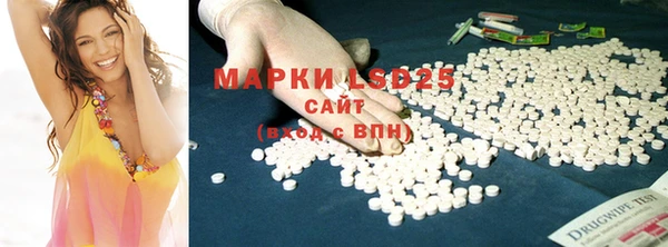 амф Тавда