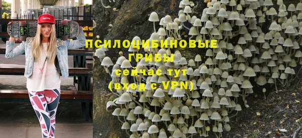 прущая мука Тайга