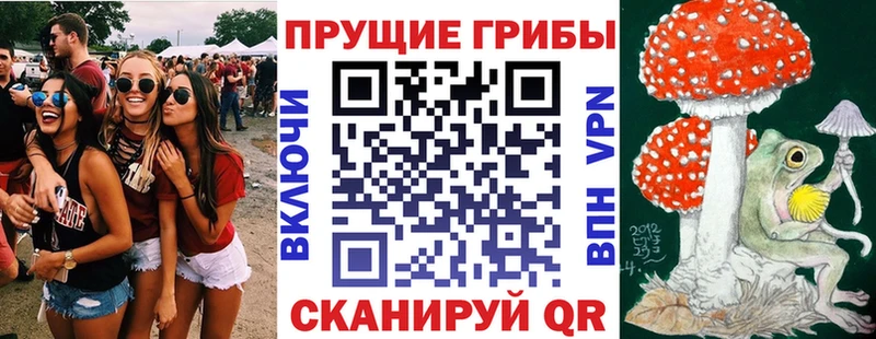 Галлюциногенные грибы MAGIC MUSHROOMS  хочу наркоту  гидра рабочий сайт  Хасавюрт 