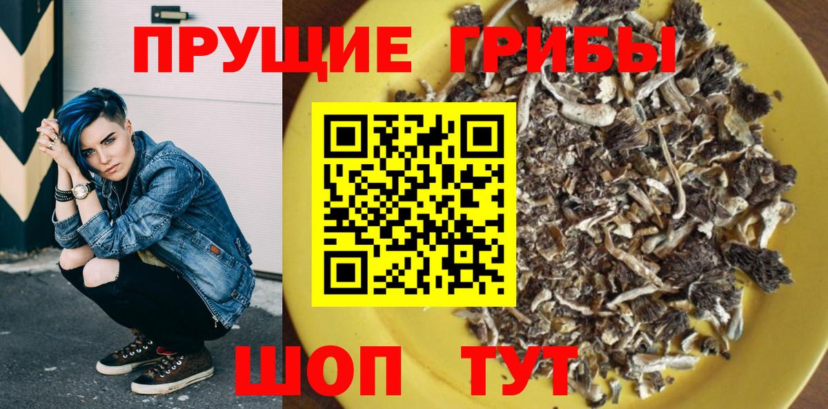 Псилоцибиновые грибы Psilocybine cubensis  Вход с VPN  Хасавюрт 